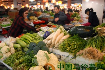 東營：冷空氣和霧霾助力推高菜價 ()