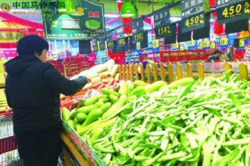 濟(jì)寧：多重因素推高菜價 “菜籃子”易漲難跌 ()