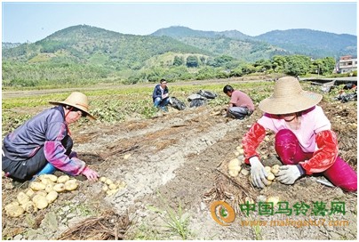 未標(biāo)題-1