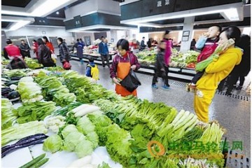 天津市：近期菜價回落明顯 ()