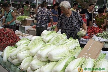 降雨影響 廣州菜價漲跌互現 ()