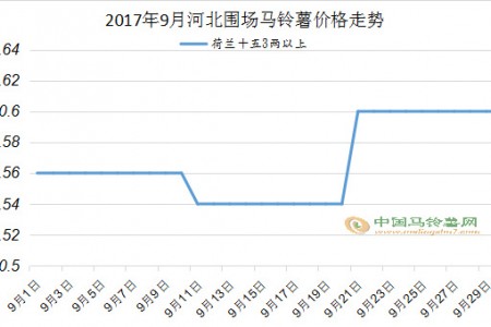 行情以穩(wěn)為主，8月又當(dāng)如何 ()