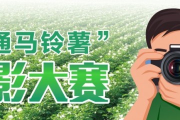 “昭通馬鈴薯”攝影大賽面向全國征集攝影作品，最高獎勵20000元！ ()