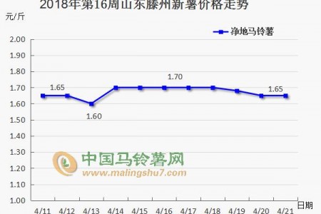 薯市短暫回暖 后期又將如何？ ()