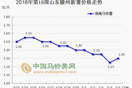 新薯大量上市 薯市能否逆襲？ ()