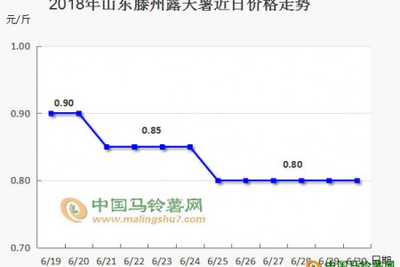 價格跳水后，后期能保持平穩(wěn)嗎 ()