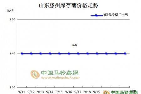 揭秘“產(chǎn)區(qū)新薯為何大批量入庫” ()