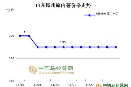 是漲是跌？薯價(jià)將要走向何方 ()