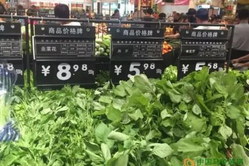 鄭州：蔬菜價格止升反降 ()