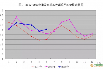 下半年青島蔬菜貴不貴？ ()