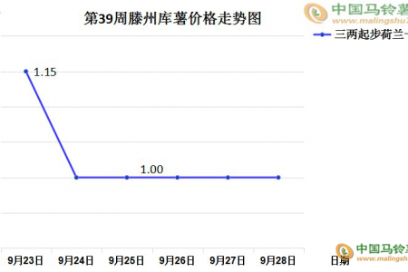 新薯交易尚可 庫薯購銷不旺 ()