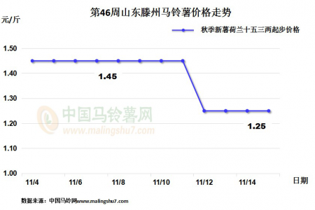 滕州新薯價格不高 內(nèi)蒙好貨供應減少 ()