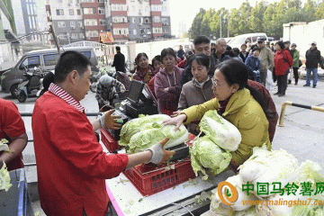 冬儲(chǔ)菜上市 北京蔬菜總體供應(yīng)充足 ()