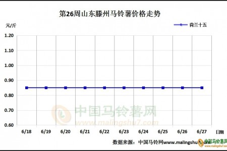 7月即將來臨 薯價將如何發(fā)展？ ()