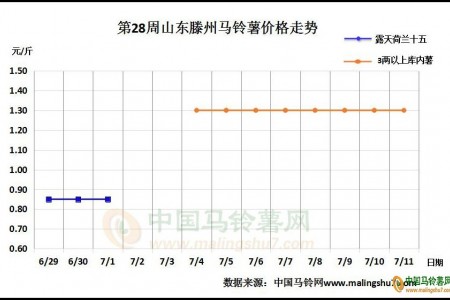 山東入庫進入尾期 北方一作區(qū)新薯上市 ()