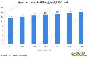 我國蔬菜供需呈增長態(tài)勢(shì) ()