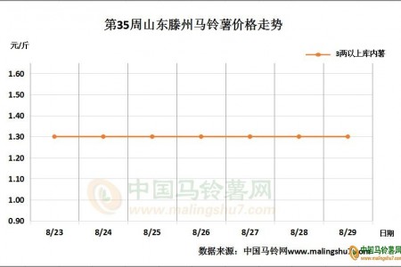 庫薯行情回溫 新薯爭搶市場份額 ()