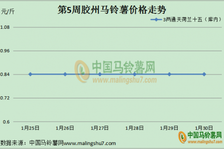 臨近年關(guān) 馬鈴薯行情走向 ()