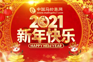 祝各位2021牛年大吉！新春吉祥！ ()