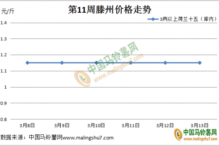 薯價(jià)再跌 行情低迷 ()