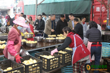 平潭：沙地馬鈴薯測產(chǎn)驗(yàn)收 ()