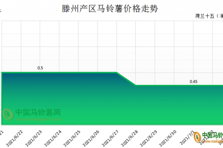 薯市波瀾不起 價(jià)格穩(wěn)弱維持 ()