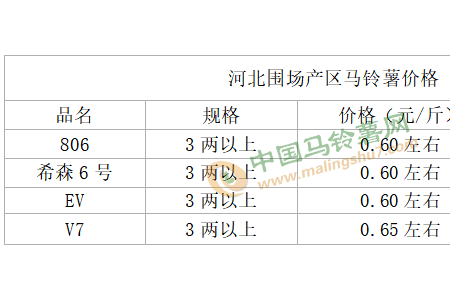 新薯以質(zhì)論價(jià) 庫薯價(jià)格平穩(wěn) ()