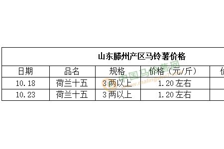 庫薯購銷順暢 好貨價(jià)格看漲 ()