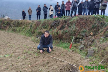 來鳳縣：舉行馬鈴薯集成高效模式種植暨冬農(nóng)開發(fā)推進(jìn)會 ()