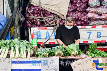 濟南：蔬菜價格親民 ()