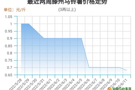 薯市行情企穩(wěn) 反彈之機(jī)可期 ()