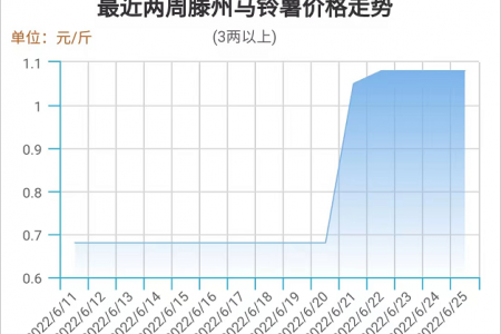 行情平穩(wěn)推進(jìn) 薯市交易向好 ()